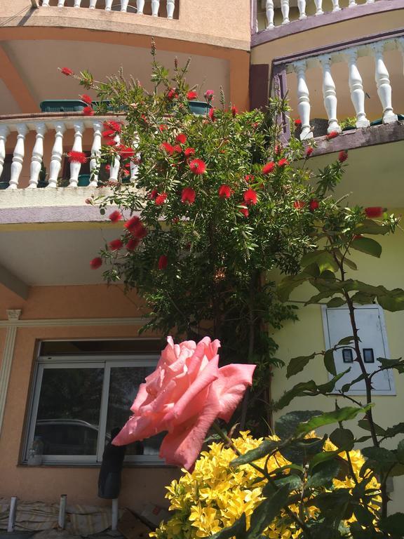 Sunny Villa Apartments Budva Exteriör bild