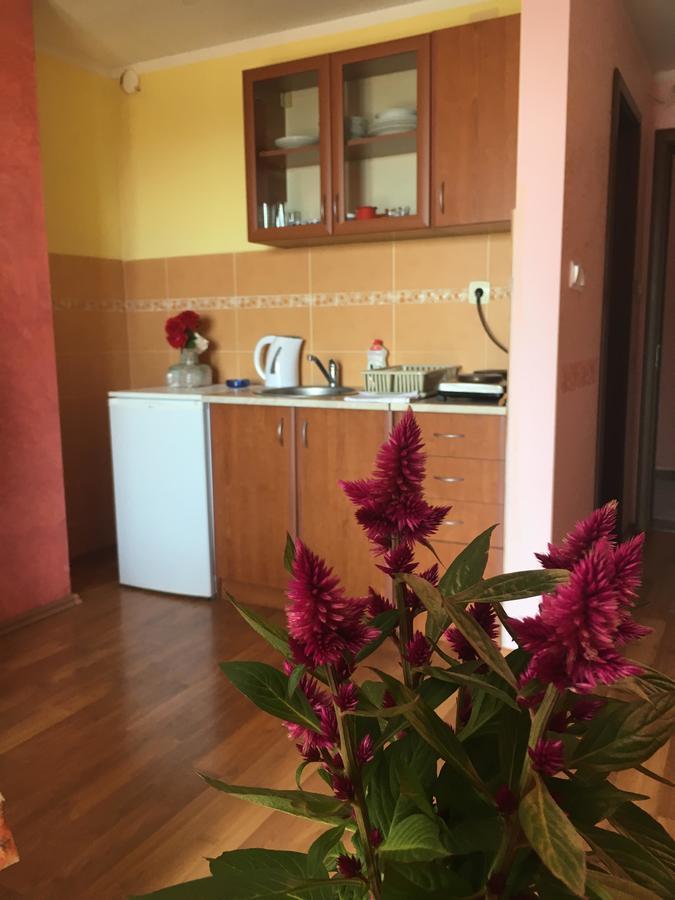 Sunny Villa Apartments Budva Exteriör bild
